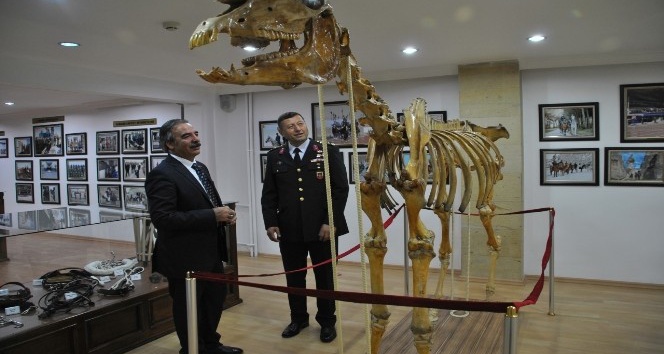 NEVÜ ve JAKEM Komutanlığı arasında atlı terapi ve binicilik eğitimi