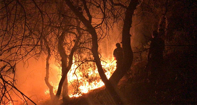 Alevler Neopolis&#039;in gecesini aydınlattı