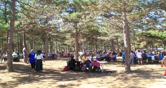 Başakşehir’de yaz etkinlikleri başlıyor