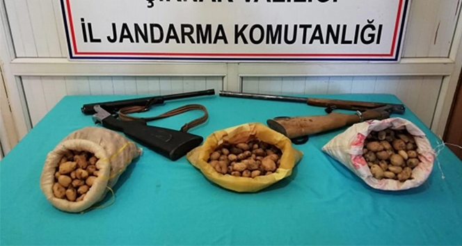 Sahlep soÄanını toplayanlara ceza yaÄdı