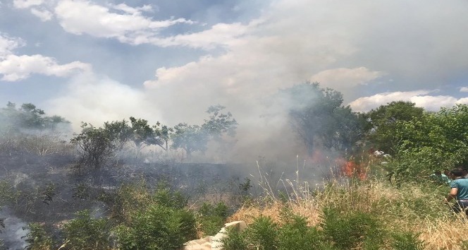 Fıstık bahçelerine sıçrayan yangın bir çok ağacın yanmasına neden oldu