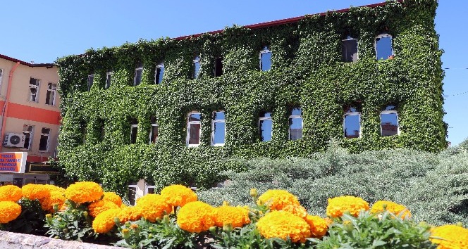 Bu bina görüntüsüyle dikkat çekiyor