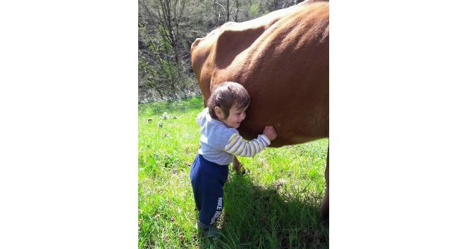 Küçük Murat, başkalarını murada erdirdi