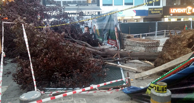 Başkent’te fırtına ağaç devirdi, 3 kişi yaralandı