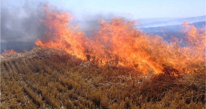 Validen çiftçilere ’anız yangını’ uyarısı