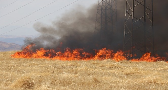 Siirt’te 2 ayrı tarlada çıkan yangında 100 dönüm arazi kül oldu