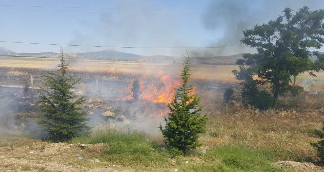 Isparta’da arazi yangınında hububat ekili alan yandı