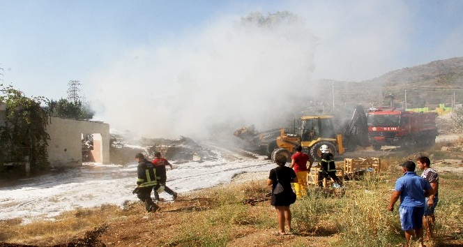 Fethiye'de Yangın: Zeytinlik Ve Kereste Deposu Kül Oldu ...