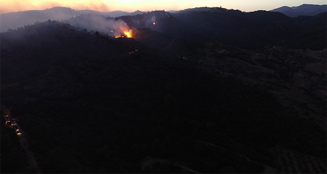 İzmir’deki orman yangınını söndürme çalışmaları sürüyor