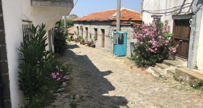 Türk-Rum dostluğunun pekiştiği köy: Zeytinliköy