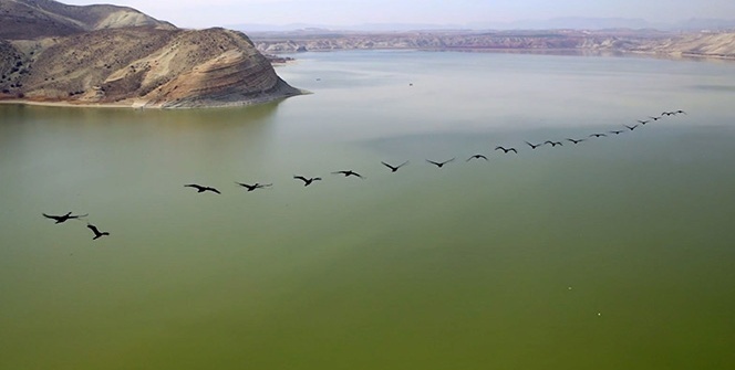 Kuş cennetinden eşsiz görüntüler