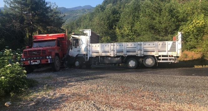 Yenice’de kamyonlar çarpıştı: 2 yaralı