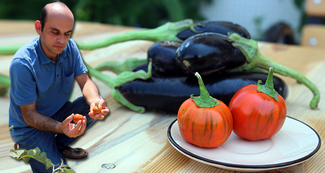 Domates görünümlü patlıcan, görenleri şaşırttı