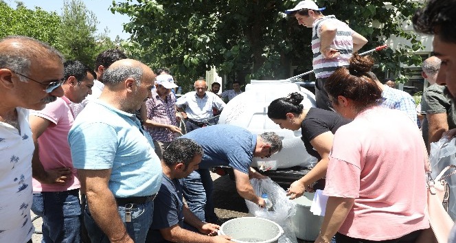 Diyarbakır’daki göletlere 121 bin sazan balığı yavrusu bırakıldı