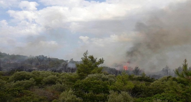 Muğla’da yeni bir orman yangını evleri tehdit ediyor