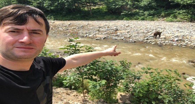 Serinlemek için dereye inen ayı korkuttu