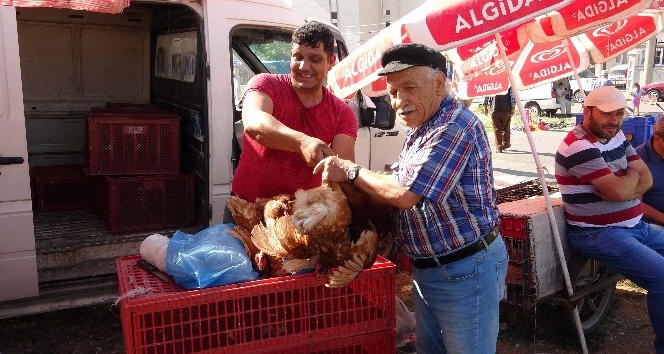 (Özel) Uşak’ta canlı tavuk ve kanatlı hayvan pazarı yoğun ilgi görüyor