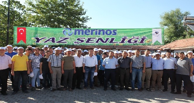 Merinos Hali Fabrika Satis Magazasi K Maras Merinos Seri Sonu Magazasi Facebook