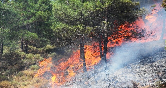 Fethiye’deki orman yangını kontrol altına alındı