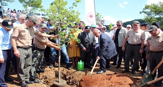 248 şehit için 248 fidan