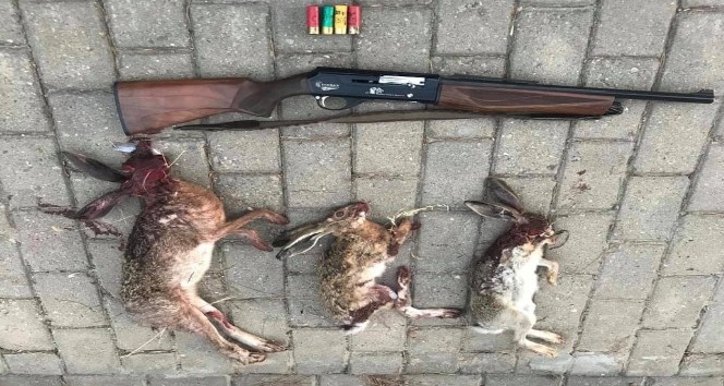 Projektör ile yaban tavşanı avına 7 bin lira ceza