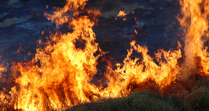 Alevler tatil sitelerine yaklaştı; tatilciler taşlarla yangını söndürmeye çalıştı