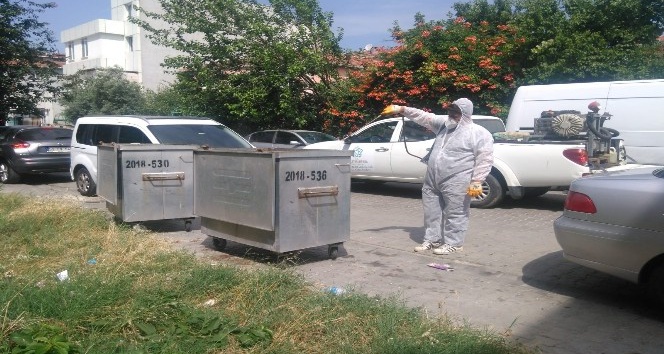 Karasineğe karşı çöp konteynerleri ilaçlanıyor