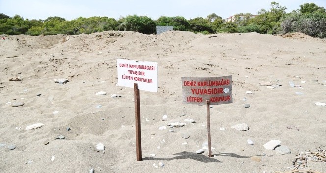 Mezitli Belediyesi, Davultepe 100. Yıl Plajı planına itiraz etti