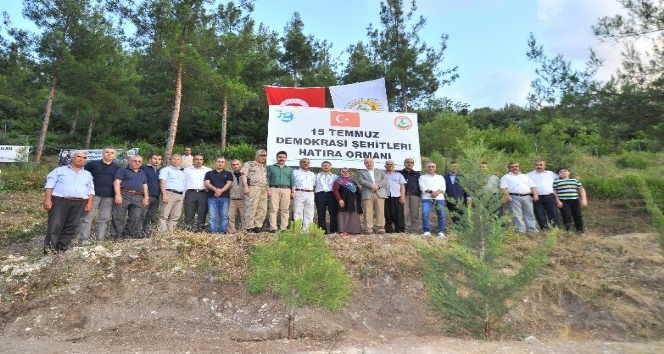 15 Temmuz Demokrasi Şehitleri Hatıra Ormanı’na fidan dikildi
