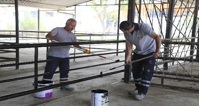 Efeler Belediyesi Hayvan Pazarı’nda bakım ve onarım çalışması başlattı