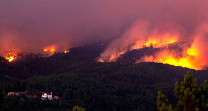 Portekiz’de orman yangınları: 8 yaralı