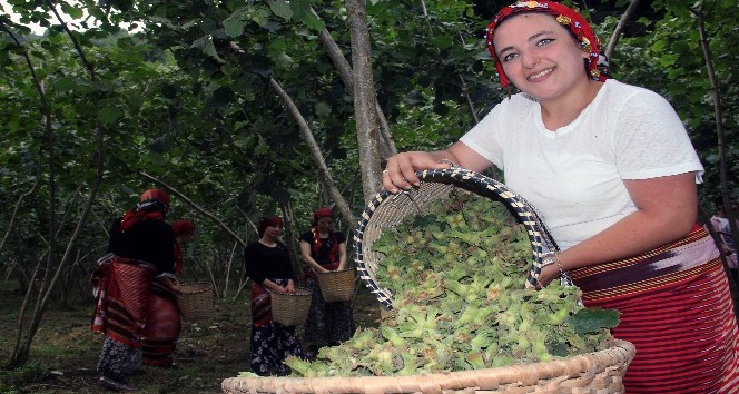 Fındık üreticisi hasat öncesi fiyat açıklanmasını bekliyor