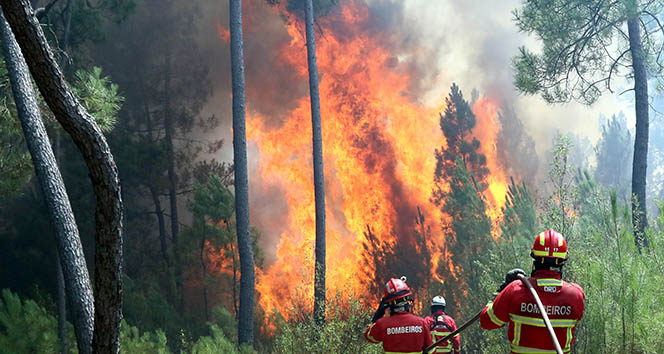 Portekiz’de orman yangınları kontrol altına alındı