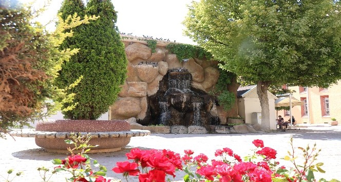 Sıcaklıkların bunalttığı kuşlar su kenarlarına akın ediyor