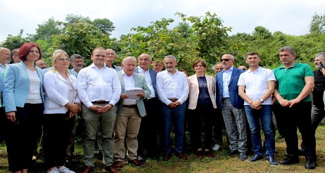 CHP’lilerden ortak ‘fındık’ açıklaması