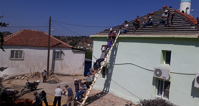 KarÄ±ncalarÄ± Ã¶rnek alan kÃ¶ylÃ¼ler sorunu yarÄ±m saatte Ã§Ã¶zdÃ¼