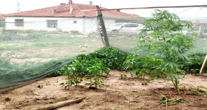 Müstakil evde uyuşturucu imalatına 1 tutuklama