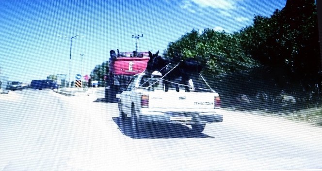 Eşeğin kamyonet ile yolculuğu görenleri şaşırttı