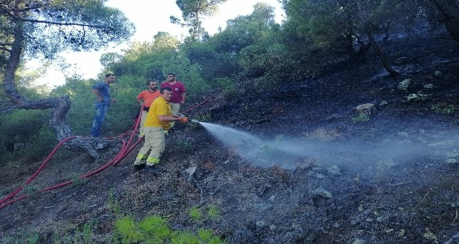 Çorum’da orman yangını; 2 hektar alan kül oldu