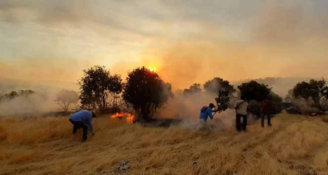 Mardin’de orman yangını 6 mahalleyi tehdit ediyor