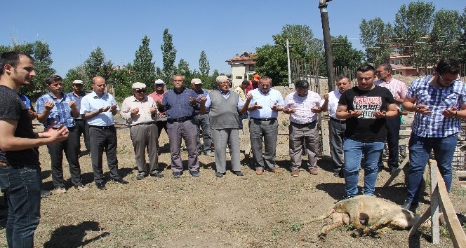 Hayırsever iş adamından 460 kişi kapasiteli cami