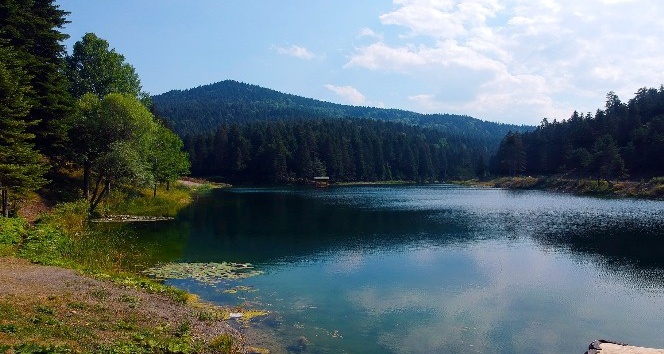 Sinop’ta saklı cennet: Akgöl Tabiat Parkı