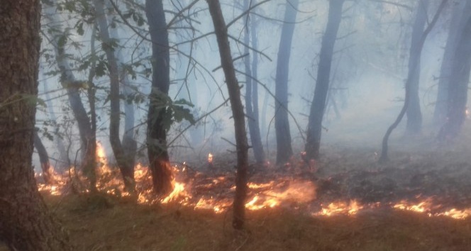 Dikmen’deki orman yangınına helikopterli müdahale