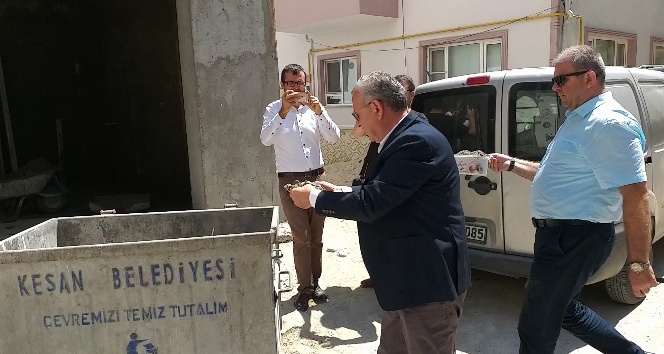 Beton dökülen mama kapları kaldırıldı