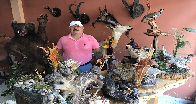 Ölü yaban hayvanlarını doldurup iş yerinde sergiliyor