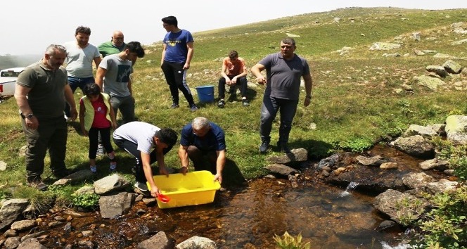 Giresun’da dereler balıklandırılıyor