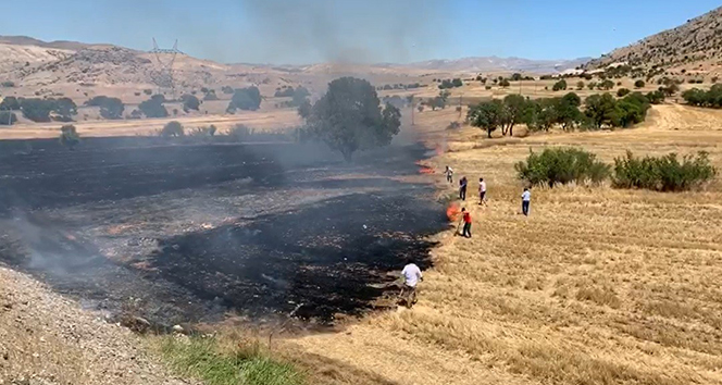 Erzincan’da anız yangını çıktı