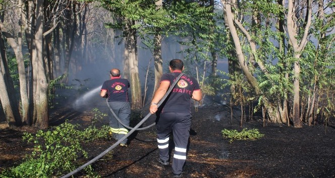 Erzincan Organize Sanayi Bölgesi’nde çıkan yangın korkuttu
