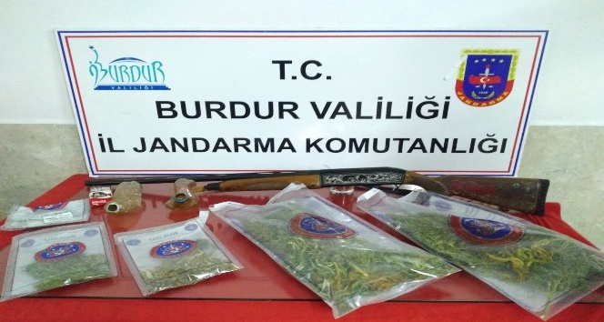 Burdur’da kaçak kenevir ekimi yapan 2 kişi yakalandı