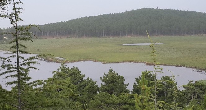 Balık ölümlerinin yaşandığı Süleymanlı Yayla Gölü’nün suyu temiz çıktı
